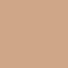 1153 Dearborn Tan