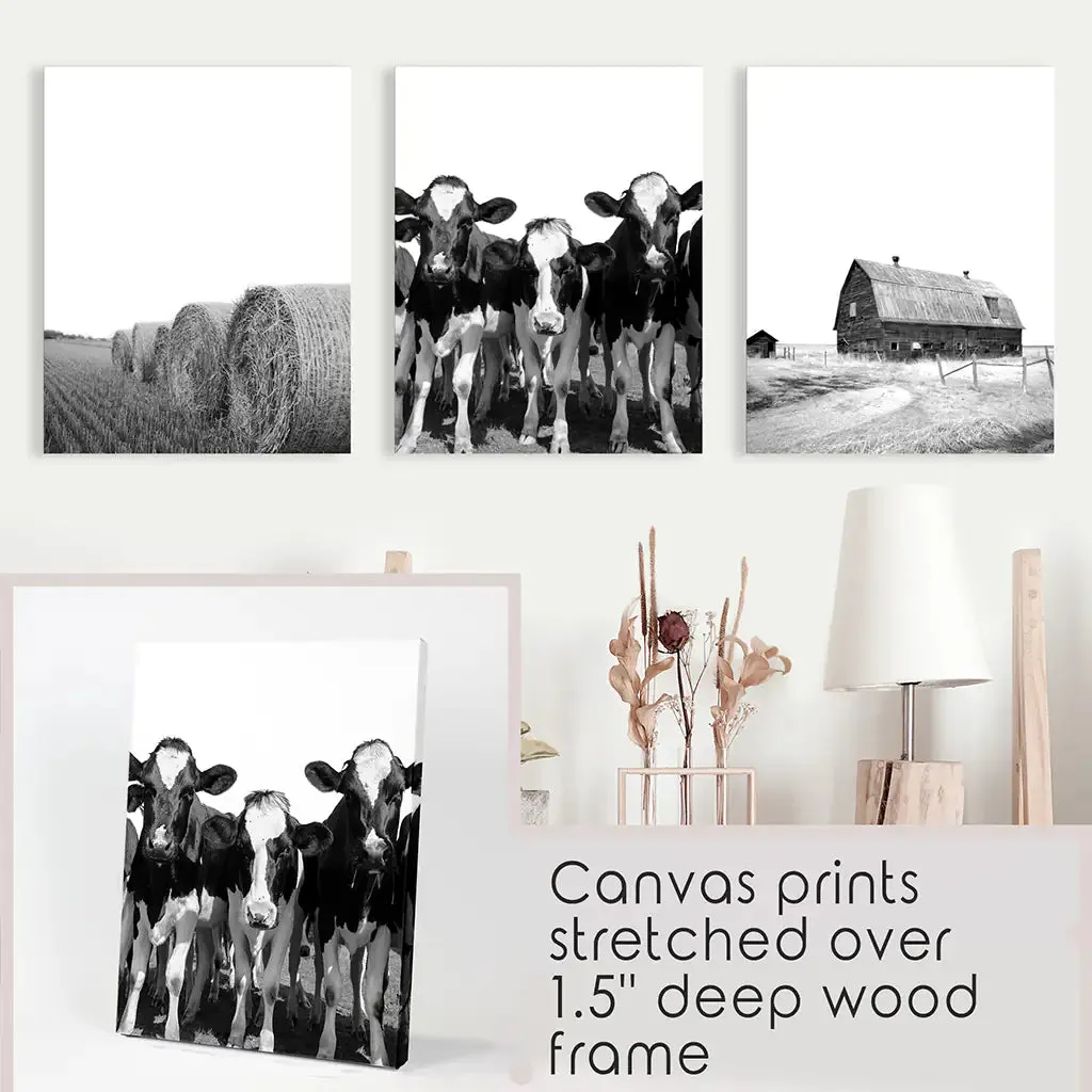 Black White Harvest on a Farm Wall Art. Cow, Hay Bale, Barn