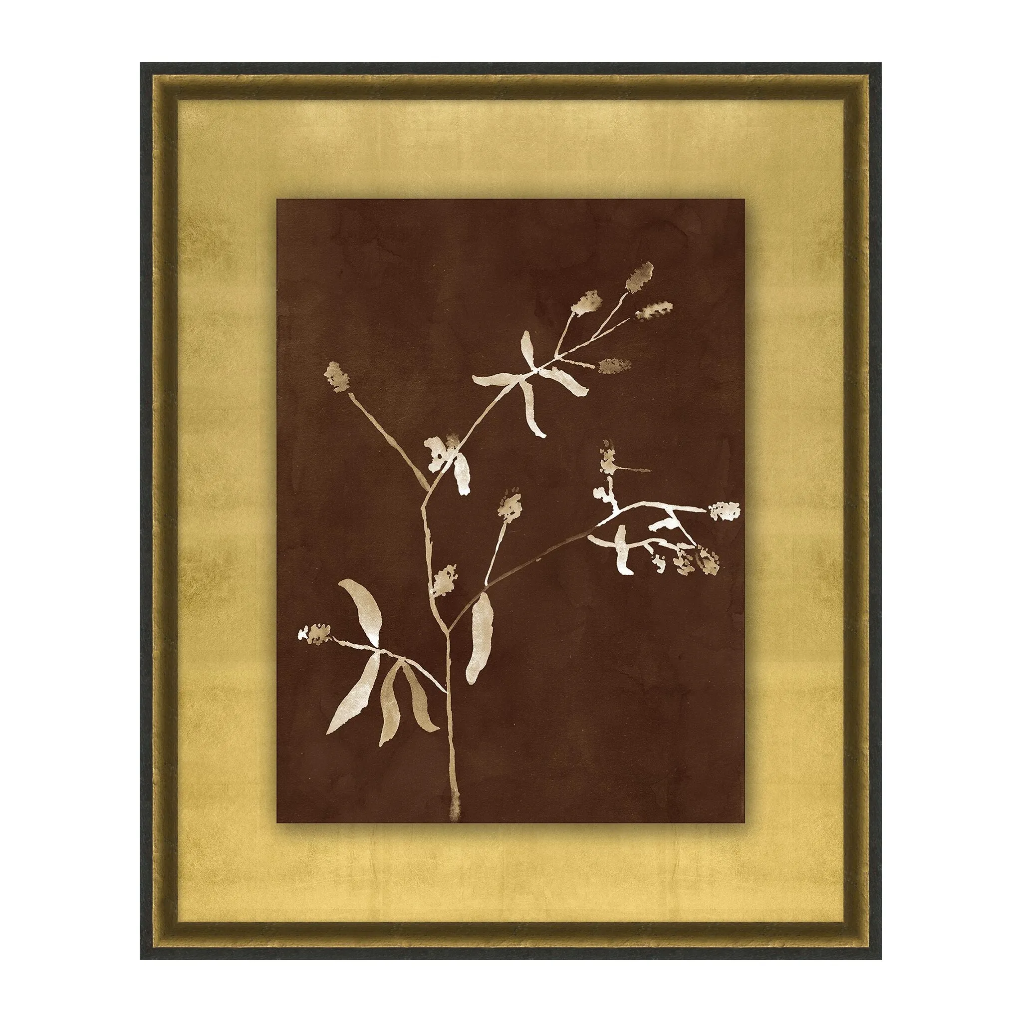 Botanist Study 6