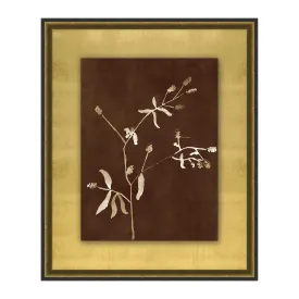Botanist Study 6