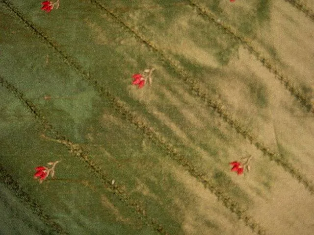 Freesia - Embroidered Silk Dupion