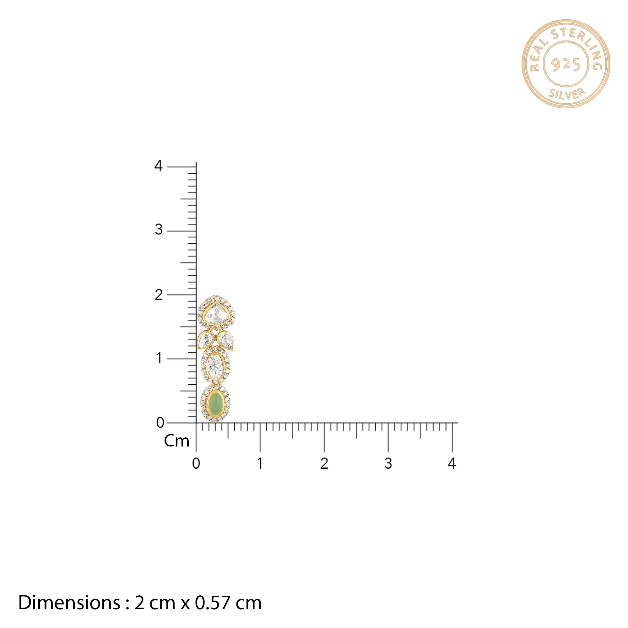 Golden Party Earrings