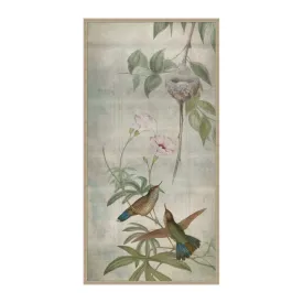 Hummingbird Dances 3