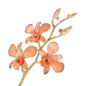 Orange Orchid with Gold Trim