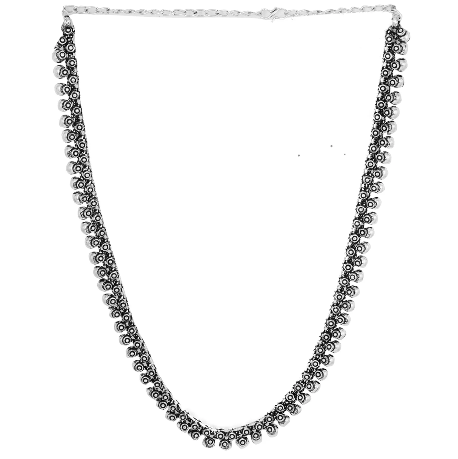 Teejh Anwita Long Silver Oxidised Necklace